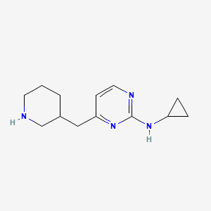 molecular formula C13H20N4 B581622 N-cyclopropyl-4-(piperidin-3-ylmethyl)pyrimidin-2-amine CAS No. 1263282-23-0
