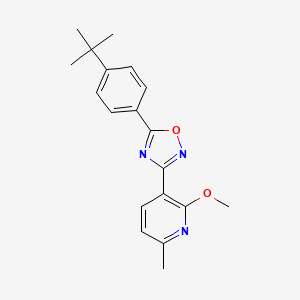 molecular formula C19H21N3O2 B5816635 3-[5-(4-tert-butylphenyl)-1,2,4-oxadiazol-3-yl]-2-methoxy-6-methylpyridine 
