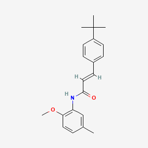molecular formula C21H25NO2 B5817180 3-(4-tert-butylphenyl)-N-(2-methoxy-5-methylphenyl)acrylamide 