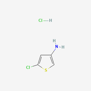 molecular formula C4H5Cl2NS B581754 5-Chlorothiophen-3-amine hydrochloride CAS No. 1408076-06-1