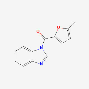 molecular formula C13H10N2O2 B5818364 1-(5-methyl-2-furoyl)-1H-benzimidazole 