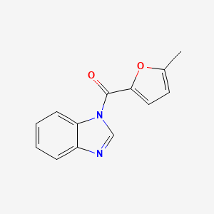 1-(5-methyl-2-furoyl)-1H-benzimidazole