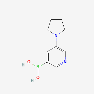 molecular formula C9H13BN2O2 B581856 (5-(Pyrrolidin-1-yl)pyridin-3-yl)boronic acid CAS No. 1218790-56-7
