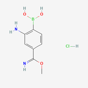 molecular formula C8H12BClN2O3 B581883 (2-Amino-4-(imino(methoxy)methyl)phenyl)boronic acid hydrochloride CAS No. 1217501-29-5