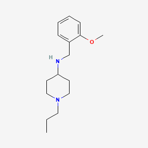 molecular formula C16H26N2O B5819123 N-(2-methoxybenzyl)-1-propyl-4-piperidinamine 