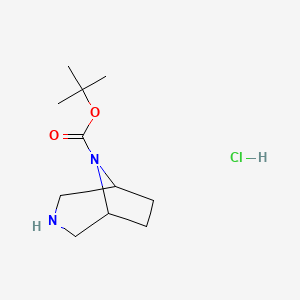 molecular formula C11H21ClN2O2 B581931 叔丁基 3,8-二氮杂双环[3.2.1]辛烷-8-羧酸盐盐酸盐 CAS No. 347195-73-7