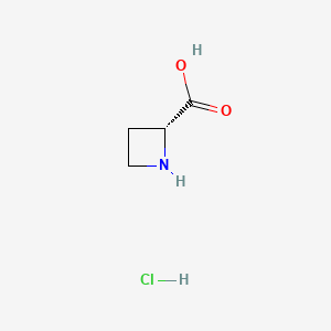 molecular formula C4H8ClNO2 B581965 (R)-Azetidine-2-carboxylic acid hydrochloride CAS No. 647854-72-6
