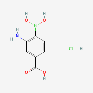 molecular formula C7H9BClNO4 B581993 3-氨基-4-硼苯甲酸盐酸盐 CAS No. 850568-60-4