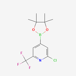 molecular formula C12H14BClF3NO2 B582256 2-氯-4-(4,4,5,5-四甲基-1,3,2-二氧杂硼烷-2-基)-6-(三氟甲基)吡啶 CAS No. 1218790-05-6