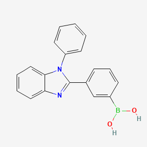 molecular formula C19H15BN2O2 B582374 (3-(1-苯基-1H-苯并[d]咪唑-2-基)苯基)硼酸 CAS No. 1214723-26-8