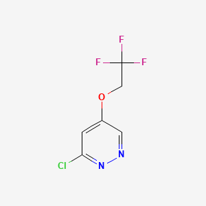 molecular formula C6H4ClF3N2O B582377 3-氯-5-(2,2,2-三氟乙氧基)吡啶嗪 CAS No. 1346691-33-5