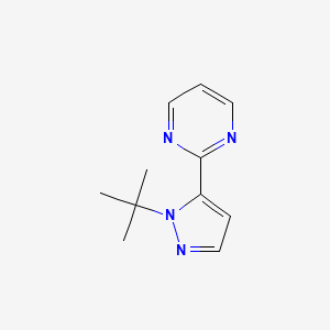 molecular formula C11H14N4 B582477 2-(1-tert-butyl-1H-pyrazol-5-yl)pyrimidine CAS No. 1269293-90-4