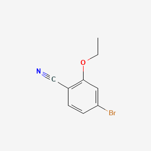 molecular formula C9H8BrNO B582484 4-Bromo-2-ethoxybenzonitrile CAS No. 1255870-63-3
