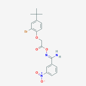 N'-{[(2-bromo-4-tert-butylphenoxy)acetyl]oxy}-3-nitrobenzenecarboximidamide