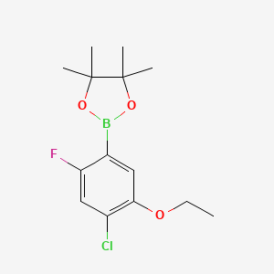 molecular formula C14H19BClFO3 B582541 2-(4-Chloro-5-ethoxy-2-fluorophenyl)-4,4,5,5-tetramethyl-1,3,2-dioxaborolane CAS No. 1256360-15-2