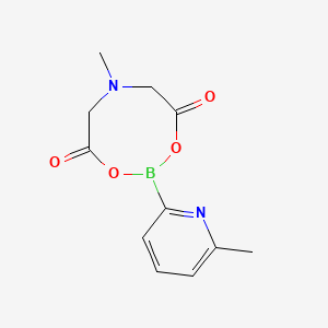 molecular formula C11H13BN2O4 B582552 6-Methyl-2-(6-methylpyridin-2-yl)-1,3,6,2-dioxazaborocane-4,8-dione CAS No. 1227700-42-6