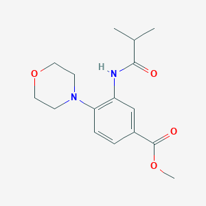 methyl 3-(isobutyrylamino)-4-(4-morpholinyl)benzoate