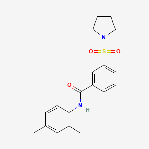 molecular formula C19H22N2O3S B5825654 N-(2,4-dimethylphenyl)-3-(1-pyrrolidinylsulfonyl)benzamide 