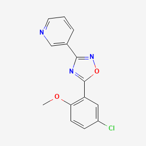 3-[5-(5-chloro-2-methoxyphenyl)-1,2,4-oxadiazol-3-yl]pyridine