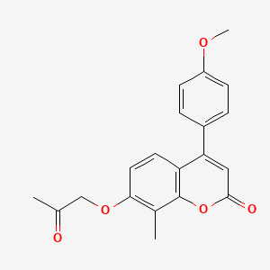 molecular formula C20H18O5 B5825932 4-(4-methoxyphenyl)-8-methyl-7-(2-oxopropoxy)-2H-chromen-2-one 