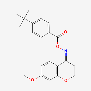 7-methoxy-2,3-dihydro-4H-chromen-4-one O-(4-tert-butylbenzoyl)oxime