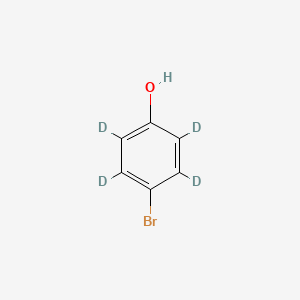 molecular formula C6H5BrO B582611 4-Bromophenol-2,3,5,6-D4 CAS No. 152404-44-9