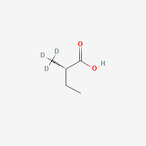 molecular formula C5H10O2 B582834 (2S)-2-(trideuteriomethyl)butanoic acid CAS No. 175779-05-2
