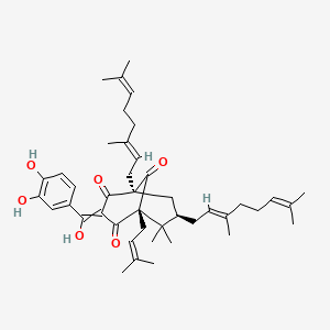 molecular formula C43H58O6 B582838 （1R，5S，7R）-3-[(3,4-二羟基苯基）-羟甲亚基]-1,7-双[(2E）-3,7-二甲基辛-2,6-二烯基]-6,6-二甲基-5-(3-甲基丁-2-烯基)双环[3.3.1]壬烷-2,4,9-三酮 CAS No. 147687-35-2