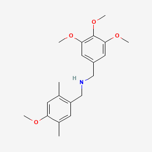 (4-methoxy-2,5-dimethylbenzyl)(3,4,5-trimethoxybenzyl)amine