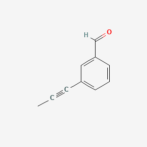 molecular formula C10H8O B583044 3-(Prop-1-yn-1-yl)benzaldehyde CAS No. 142686-43-9