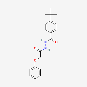 molecular formula C19H22N2O3 B5831191 4-tert-butyl-N'-(phenoxyacetyl)benzohydrazide 