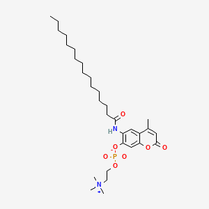 molecular formula C31H51N2O7P B583159 6-十六烷酰胺基氨基-4-甲基伞形花素基磷酰胆碱 CAS No. 904315-61-3