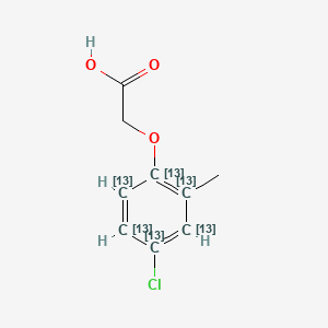 molecular formula C9H9ClO3 B583405 2-(4-Chloro-2-methyl(1,2,3,4,5,6-13C6)cyclohexa-1,3,5-trien-1-yl)oxyacetic acid CAS No. 1329835-48-4