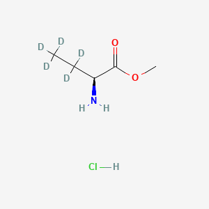 molecular formula C5H12ClNO2 B583697 L-2-Aminobutyric Acid-d5 Methyl Ester Hydrochloride CAS No. 1346617-05-7