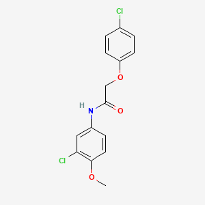 molecular formula C15H13Cl2NO3 B5837491 N-(3-chloro-4-methoxyphenyl)-2-(4-chlorophenoxy)acetamide 