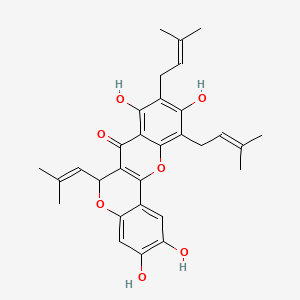 molecular formula C30H32O7 B583803 アルトヘテロフィリンB CAS No. 1174017-37-8