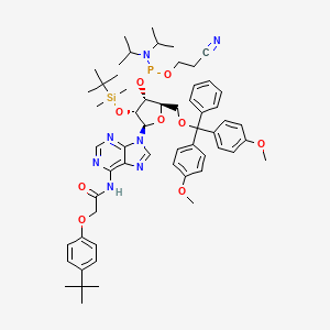 molecular formula C58H76N7O9PSi B583913 Dmt-2/'O-tbdms-RA(tac) amidite 0.5G AB CAS No. 149989-64-0