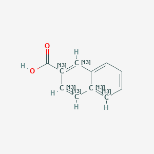molecular formula C11H8O2 B583944 2-Naphthalenecarboxylic Acid-13C6 CAS No. 1346602-42-3