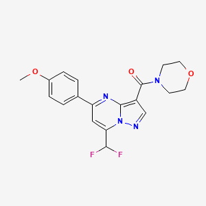 4-[7-(DIFLUOROMETHYL)-5-(4-METHOXYPHENYL)PYRAZOLO[1,5-A]PYRIMIDINE-3-CARBONYL]MORPHOLINE