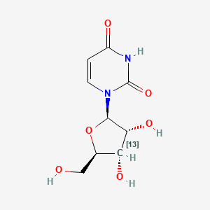 molecular formula C9H12N2O6 B584035 [3'-13C]Uridine CAS No. 478511-14-7