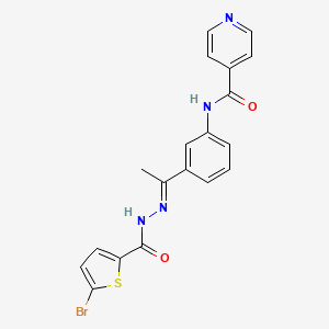 molecular formula C19H15BrN4O2S B5840993 N-(3-{N-[(5-bromo-2-thienyl)carbonyl]ethanehydrazonoyl}phenyl)isonicotinamide 