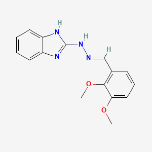 molecular formula C16H16N4O2 B5843019 2,3-dimethoxybenzaldehyde 1H-benzimidazol-2-ylhydrazone 