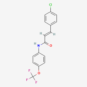molecular formula C16H11ClF3NO2 B5843122 3-(4-chlorophenyl)-N-[4-(trifluoromethoxy)phenyl]acrylamide 