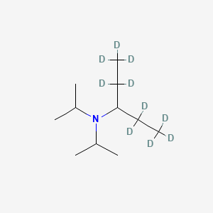 molecular formula C11H25N B584464 N,N-Diisopropyl-3-pentylamine-d10 CAS No. 1346604-26-9