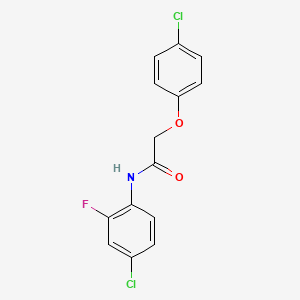 molecular formula C14H10Cl2FNO2 B5844674 N-(4-chloro-2-fluorophenyl)-2-(4-chlorophenoxy)acetamide 