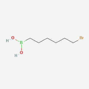 molecular formula C6H14BBrO2 B584497 (6-Bromohexyl)boronic acid CAS No. 148562-12-3