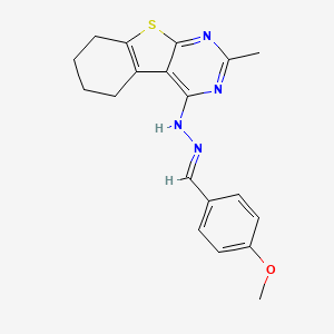 molecular formula C19H20N4OS B5845434 4-methoxybenzaldehyde (2-methyl-5,6,7,8-tetrahydro[1]benzothieno[2,3-d]pyrimidin-4-yl)hydrazone 