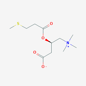 B058455 Methylthiopropionylcarnitine CAS No. 111640-10-9