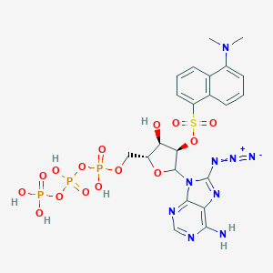 B058457 8-Azido-2'-O-dansyladenosine triphosphate CAS No. 121258-46-6