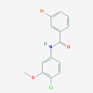 molecular formula C14H11BrClNO2 B5848654 3-bromo-N-(4-chloro-3-methoxyphenyl)benzamide 